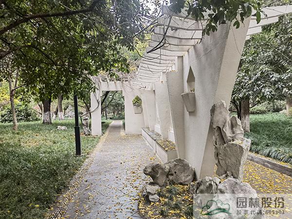 亚洲精品白浆高清久久久久久