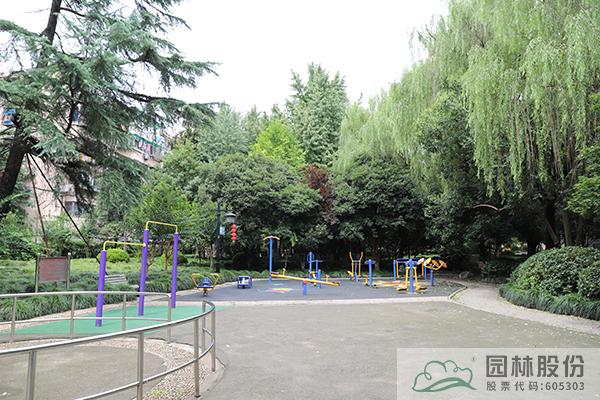 亚洲精品白浆高清久久久久久