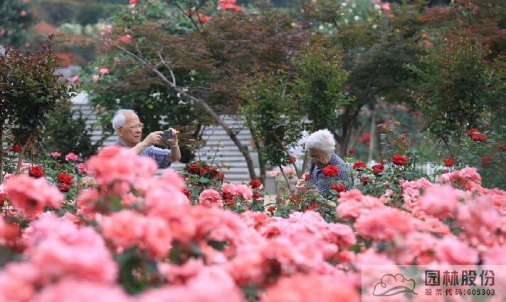 亚洲精品白浆高清久久久久久