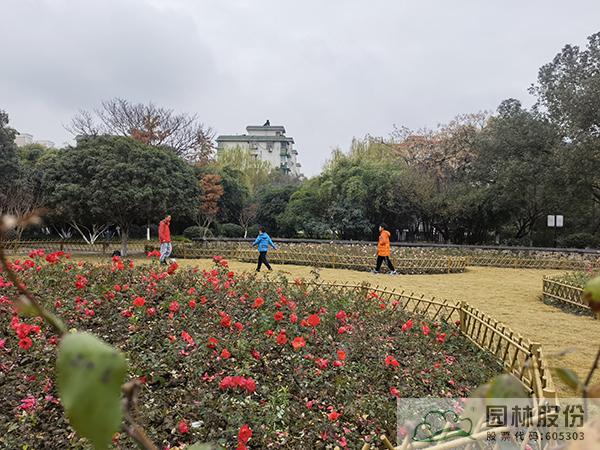 亚洲精品白浆高清久久久久久