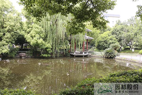 亚洲精品白浆高清久久久久久