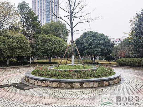 亚洲精品白浆高清久久久久久