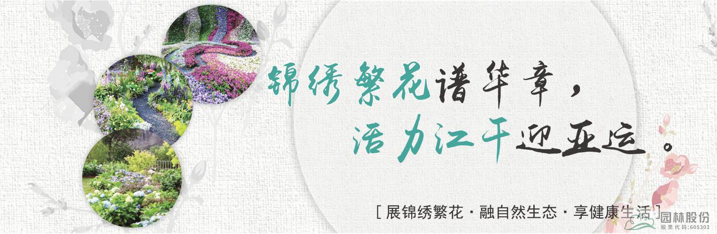 亚洲精品白浆高清久久久久久