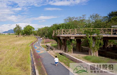 亚洲精品白浆高清久久久久久