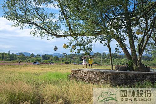 亚洲精品白浆高清久久久久久