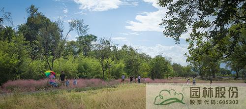 亚洲精品白浆高清久久久久久