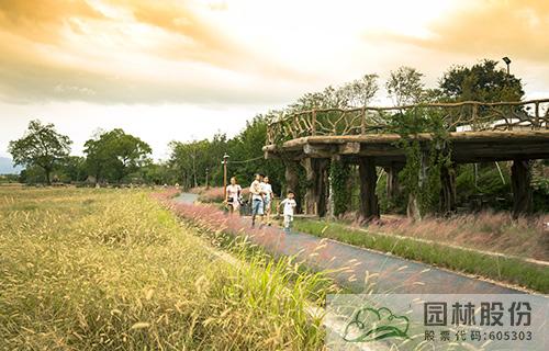 亚洲精品白浆高清久久久久久