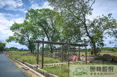 亚洲精品白浆高清久久久久久