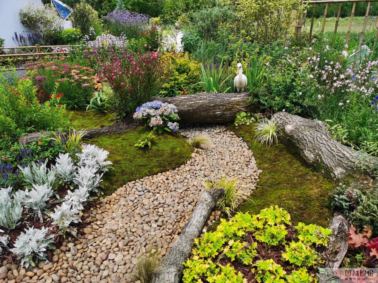 亚洲精品白浆高清久久久久久