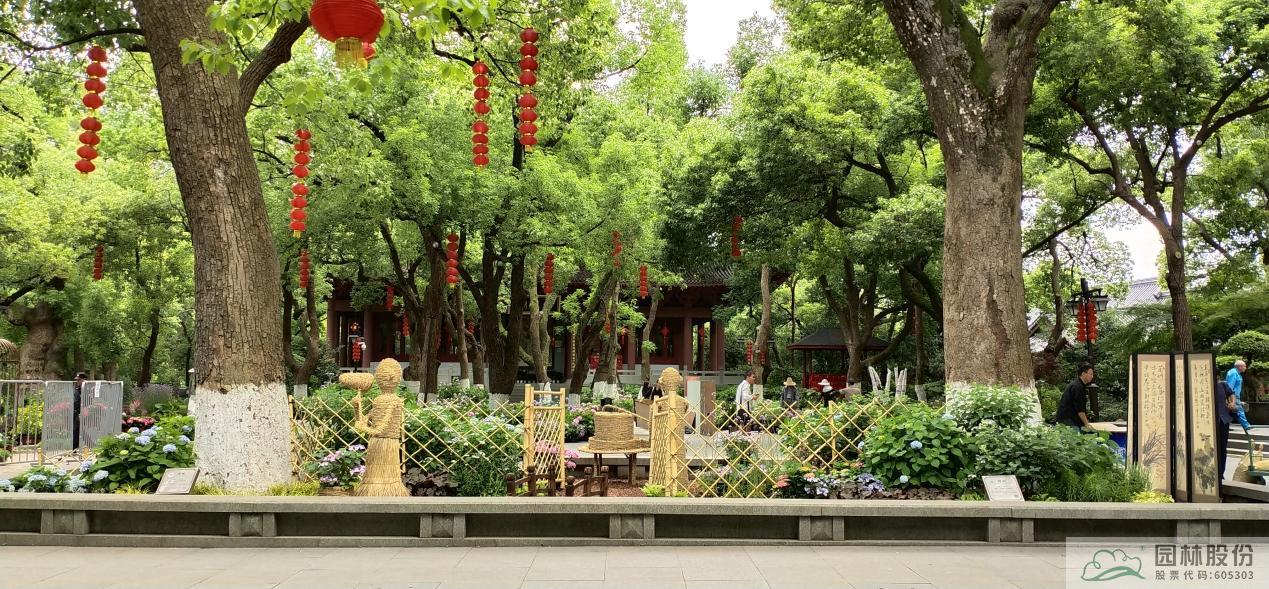 亚洲精品白浆高清久久久久久