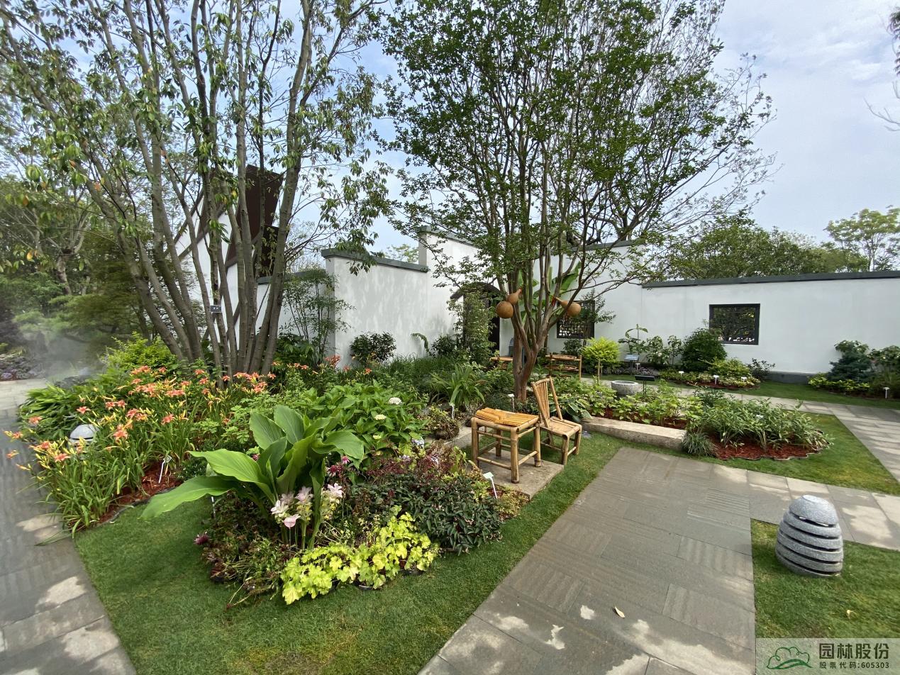 亚洲精品白浆高清久久久久久