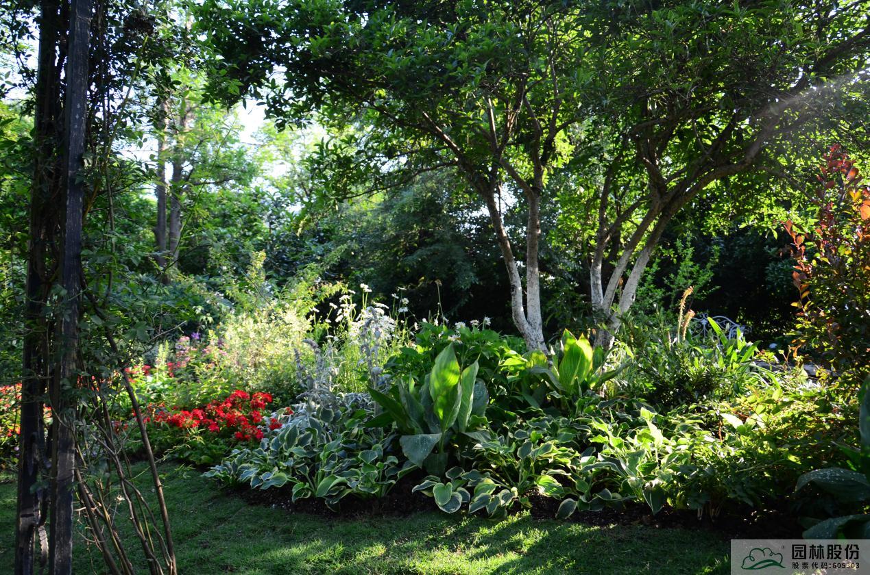 亚洲精品白浆高清久久久久久