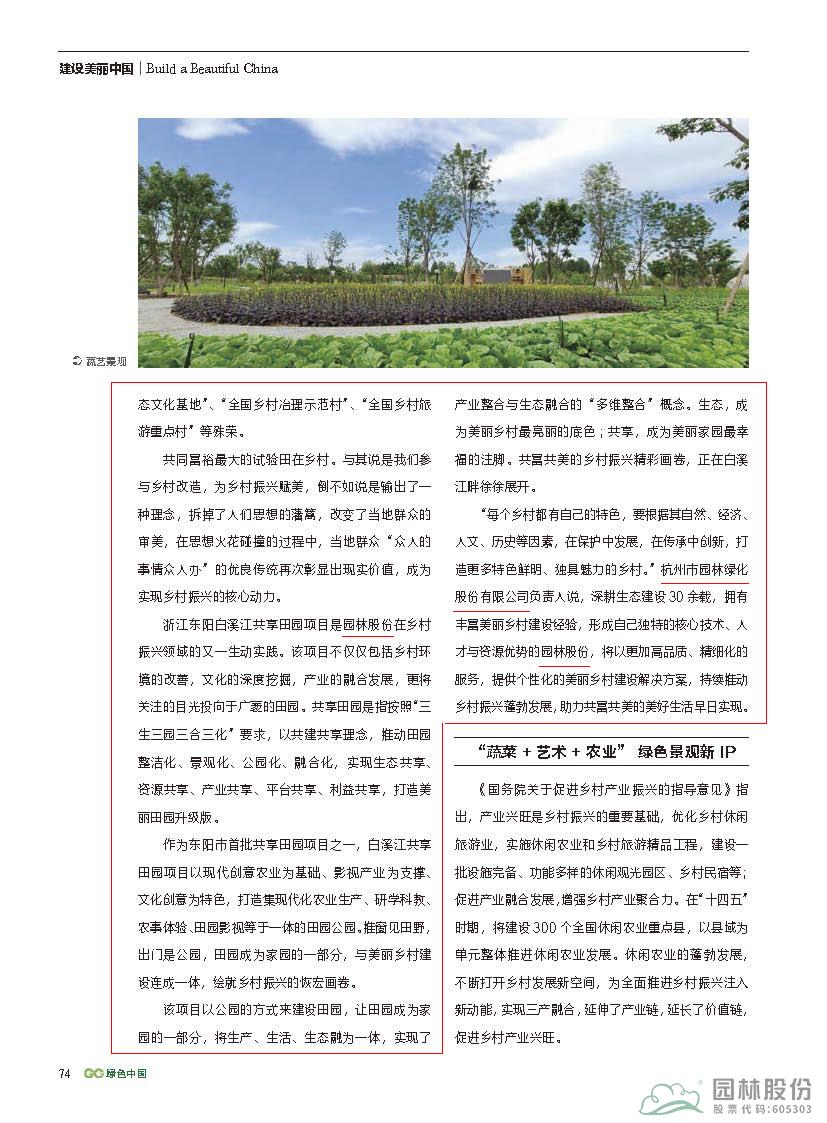 亚洲精品白浆高清久久久久久