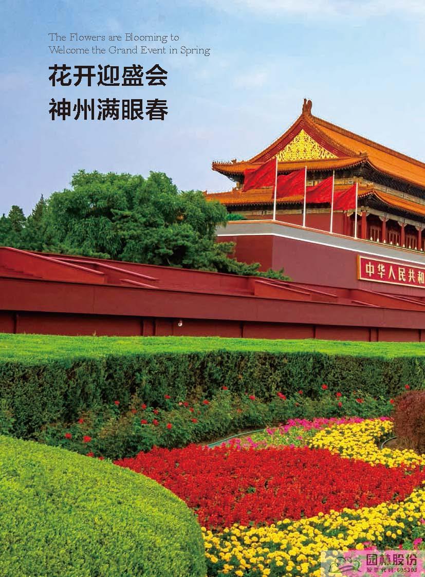 亚洲精品白浆高清久久久久久