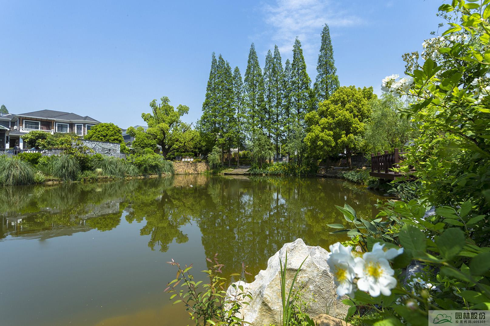 亚洲精品白浆高清久久久久久