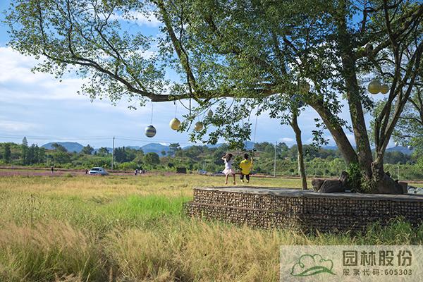 亚洲精品白浆高清久久久久久