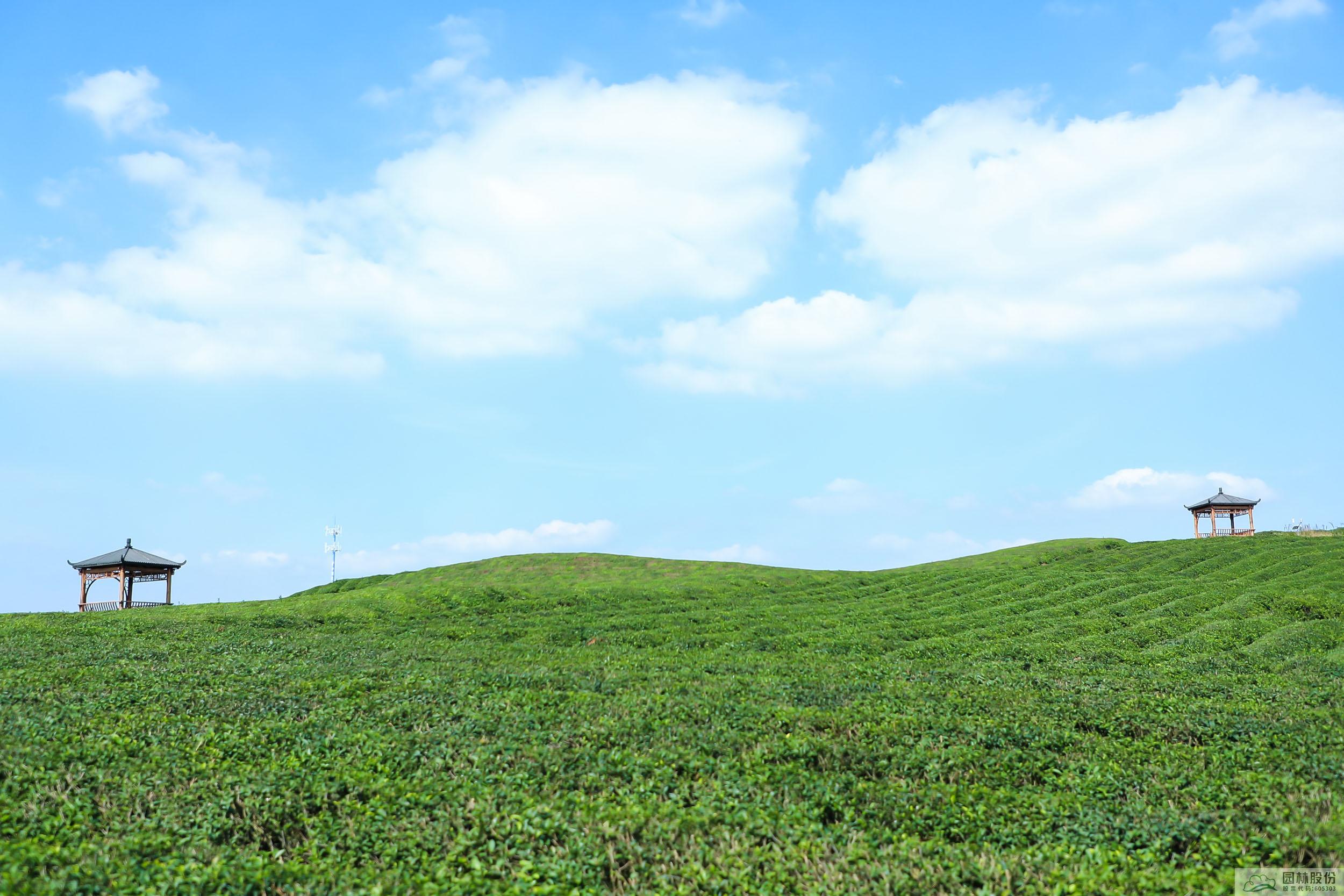 亚洲精品白浆高清久久久久久