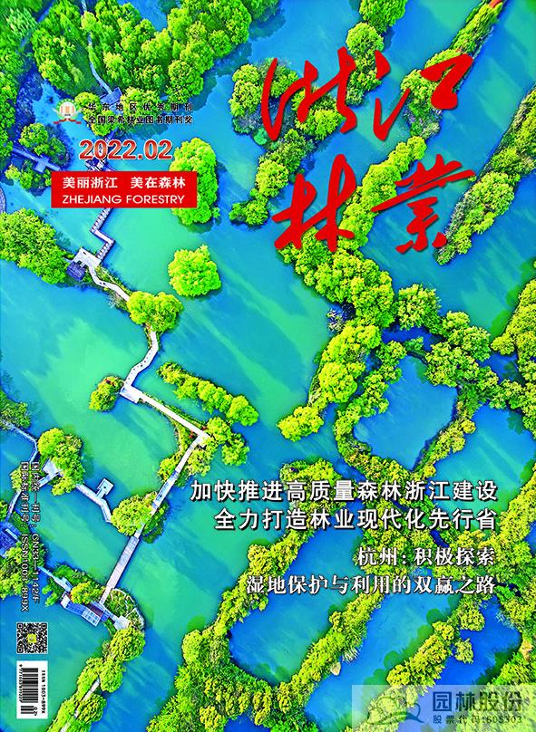 亚洲精品白浆高清久久久久久