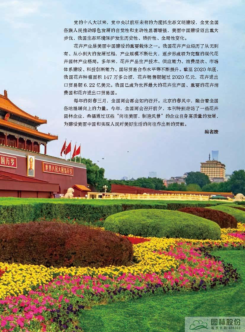 亚洲精品白浆高清久久久久久