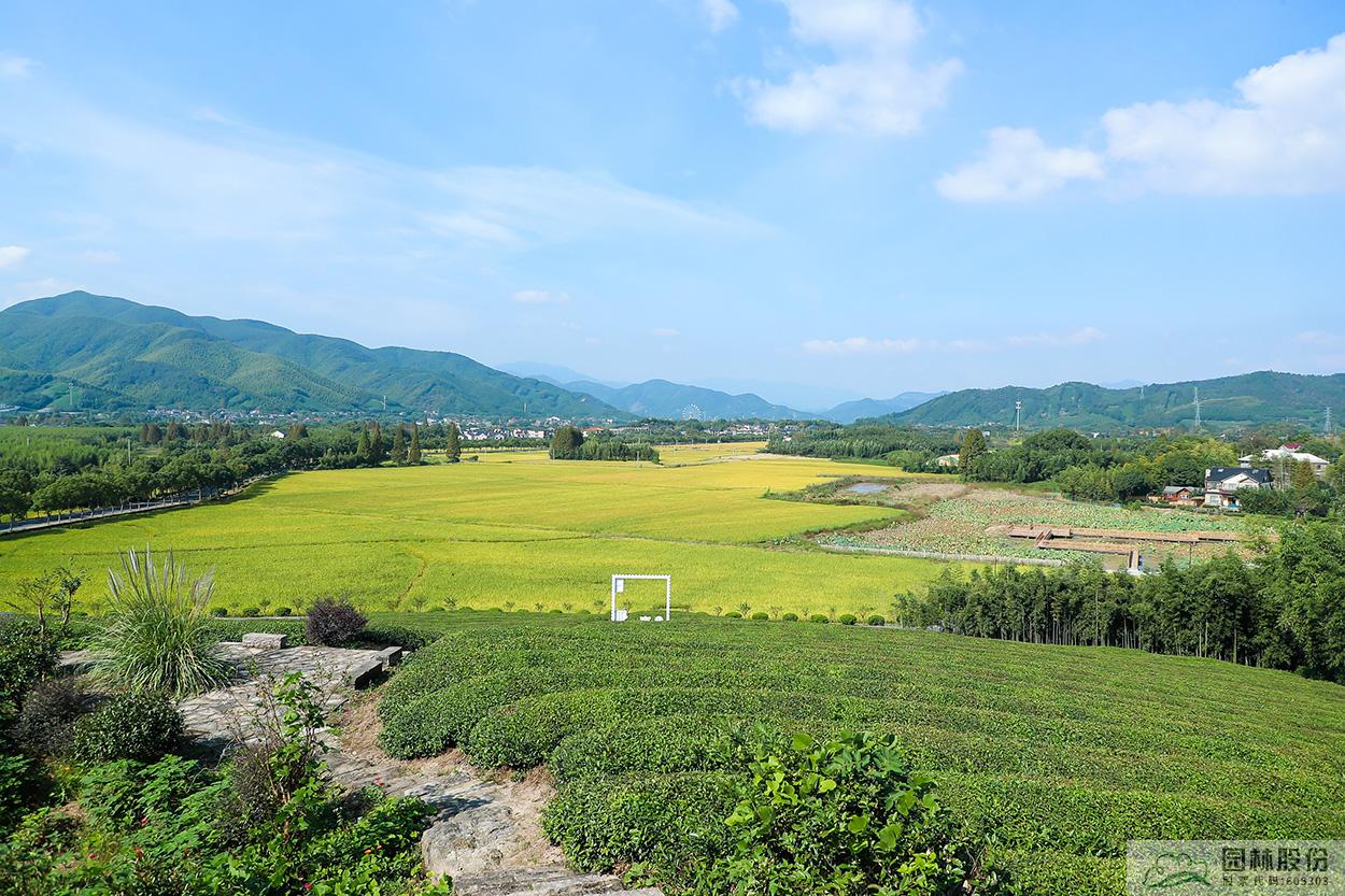 亚洲精品白浆高清久久久久久