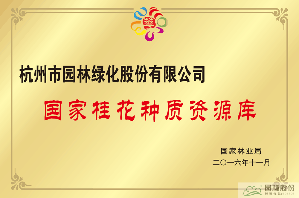 亚洲精品白浆高清久久久久久