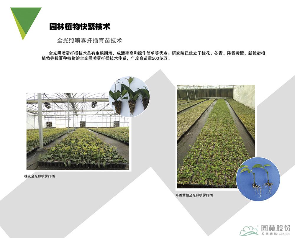 亚洲精品白浆高清久久久久久