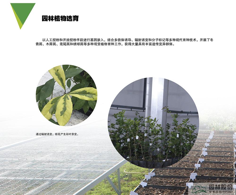 亚洲精品白浆高清久久久久久