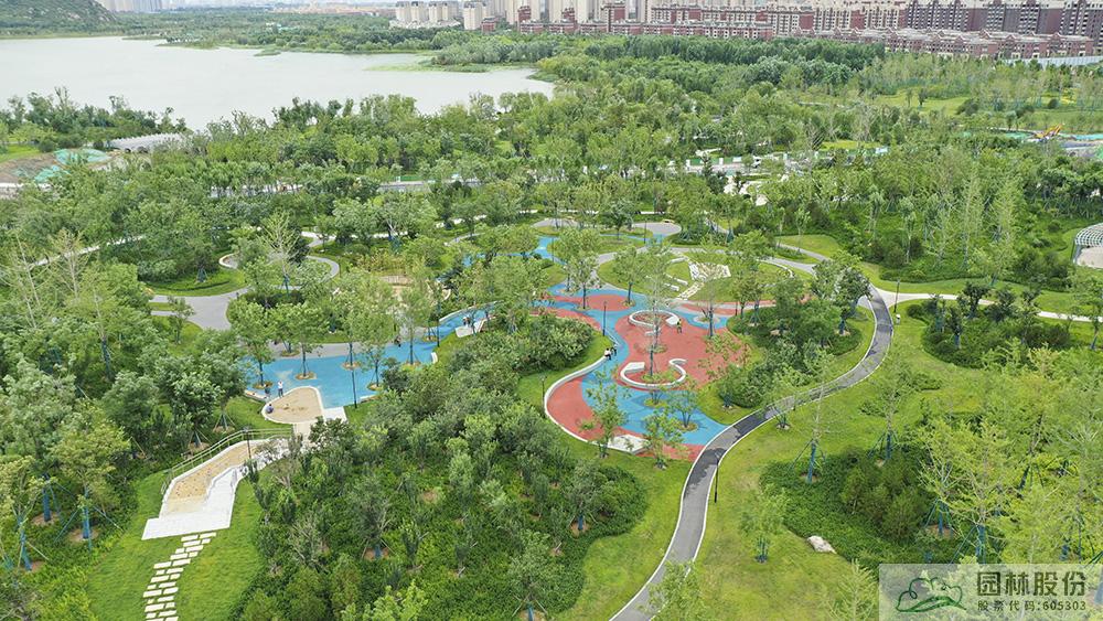 亚洲精品白浆高清久久久久久