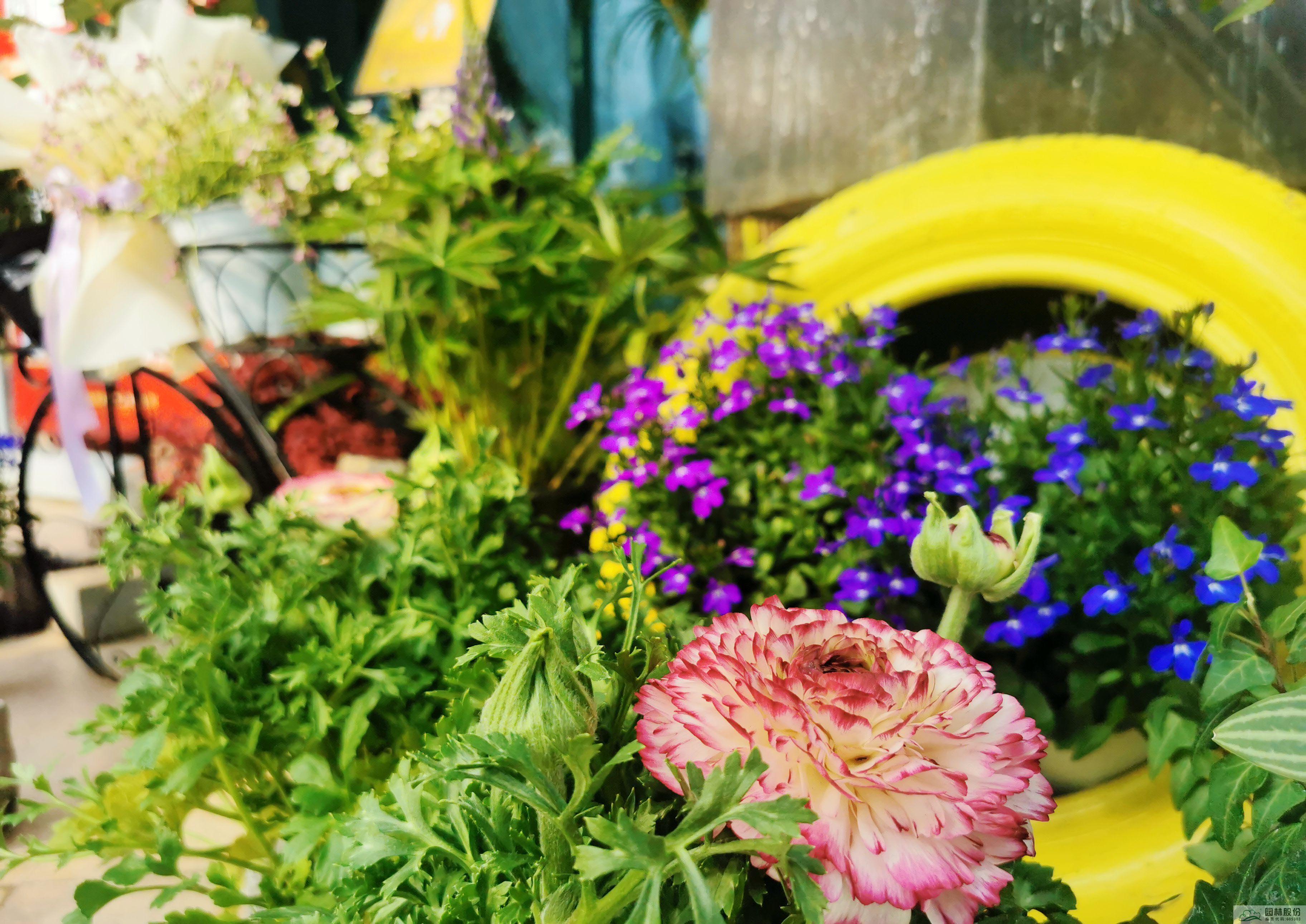 亚洲精品白浆高清久久久久久