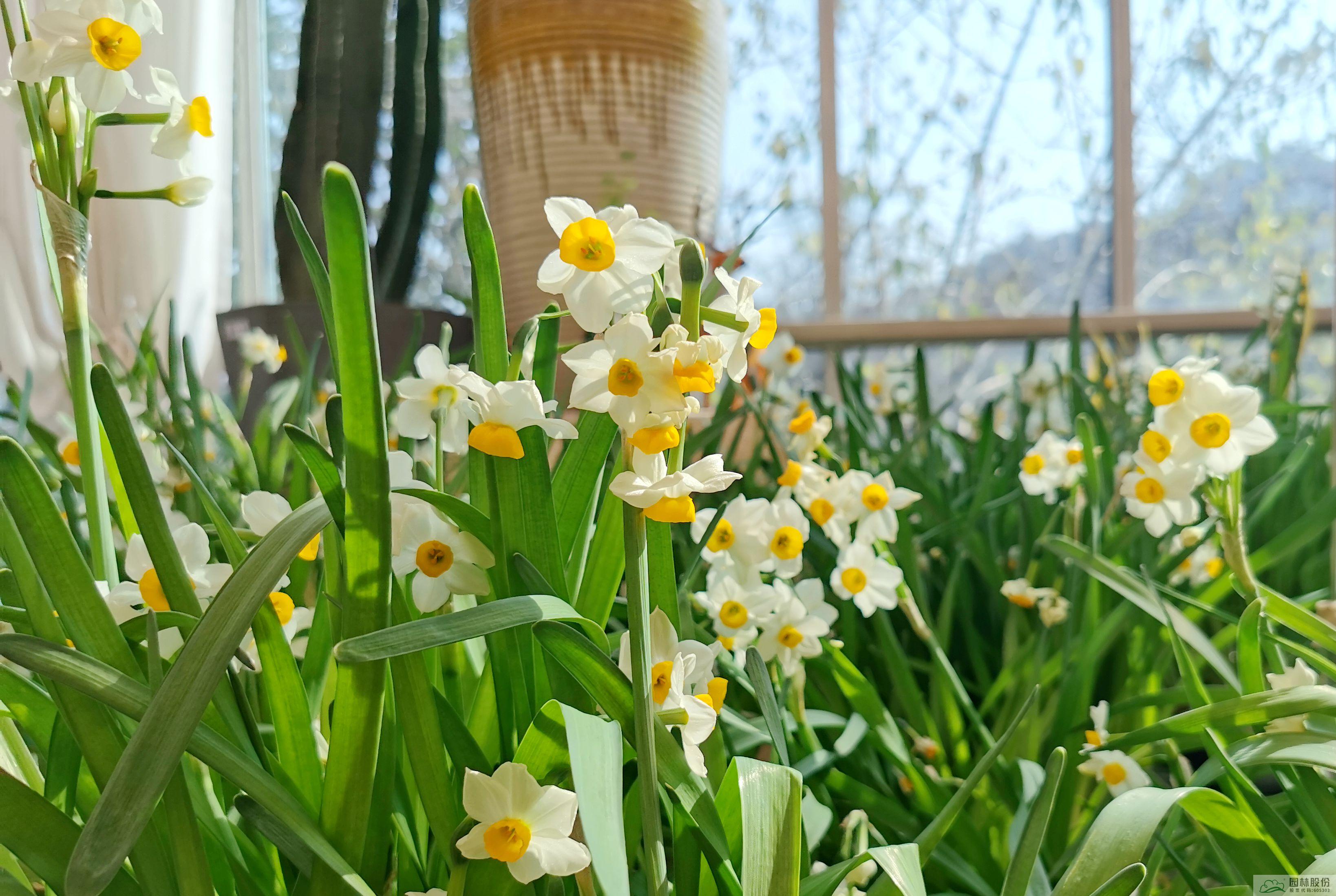 亚洲精品白浆高清久久久久久