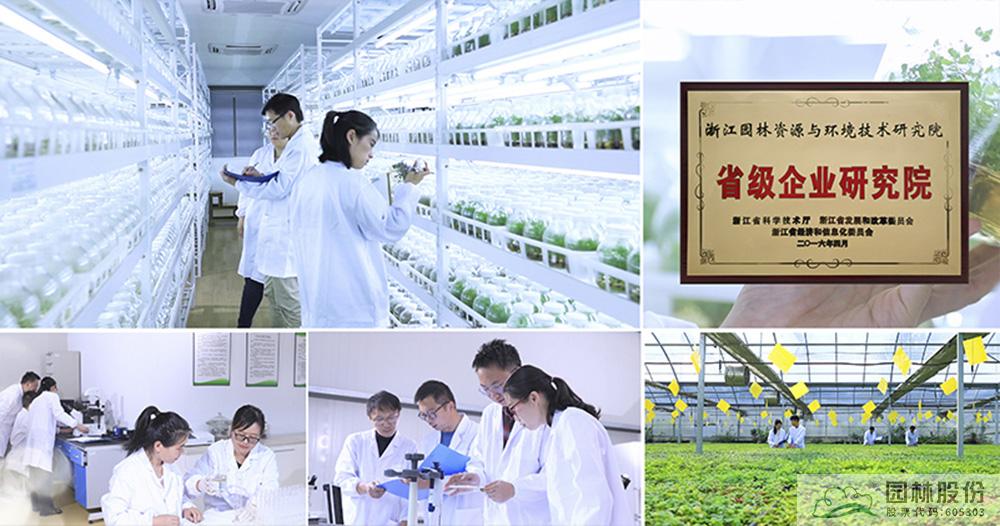 亚洲精品白浆高清久久久久久