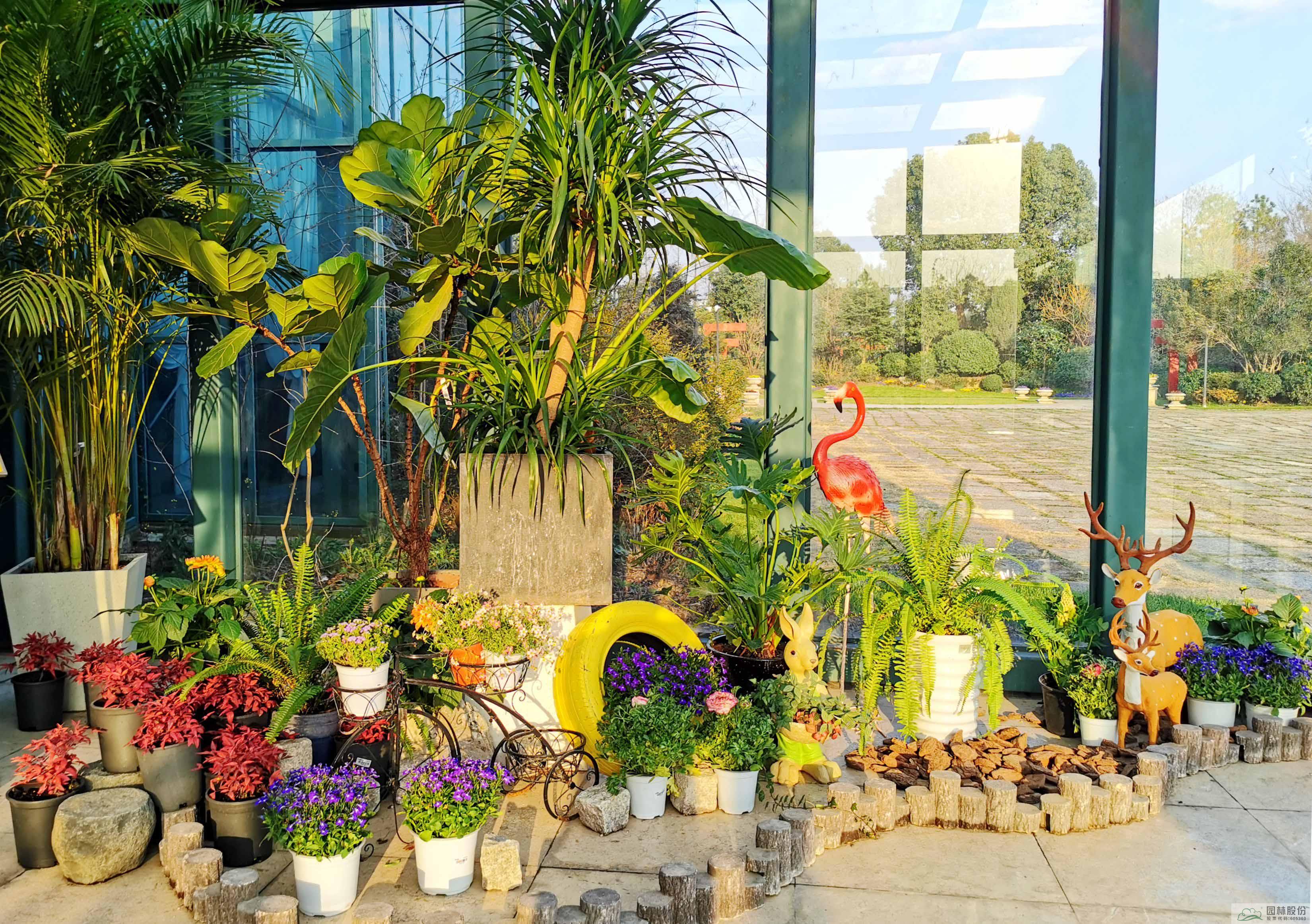 亚洲精品白浆高清久久久久久