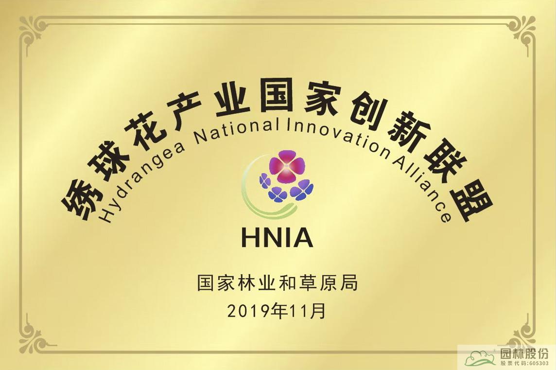 亚洲精品白浆高清久久久久久