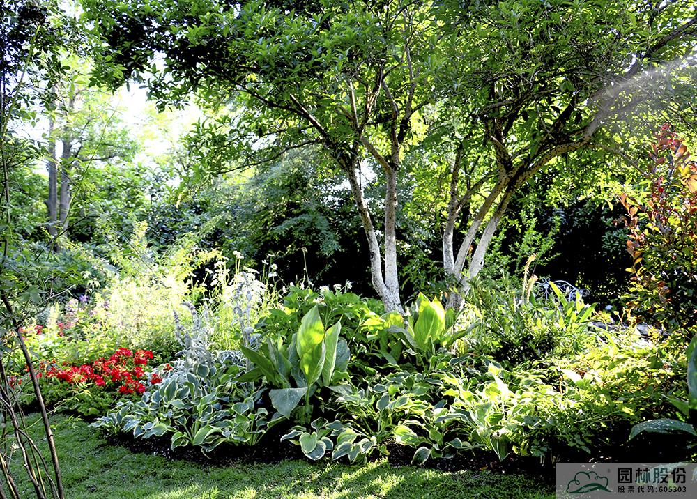 亚洲精品白浆高清久久久久久