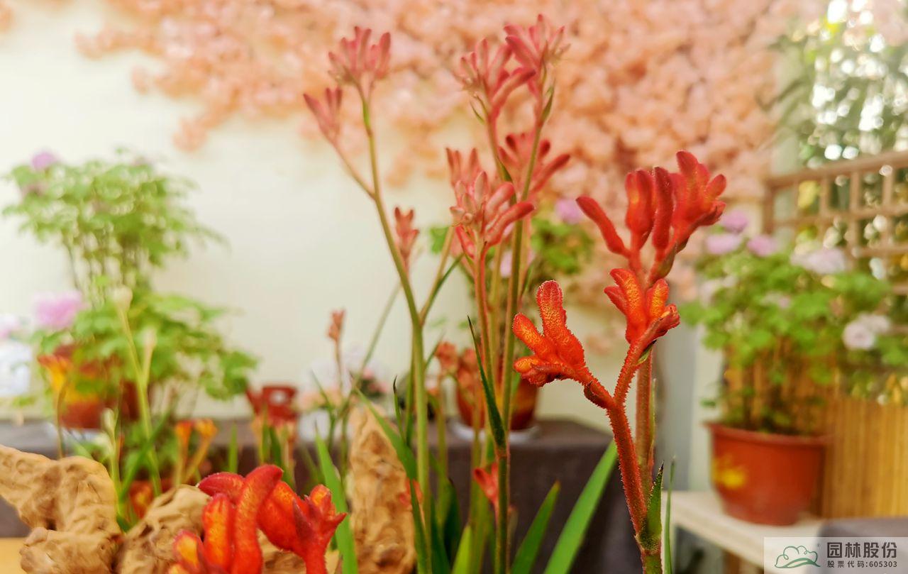 亚洲精品白浆高清久久久久久