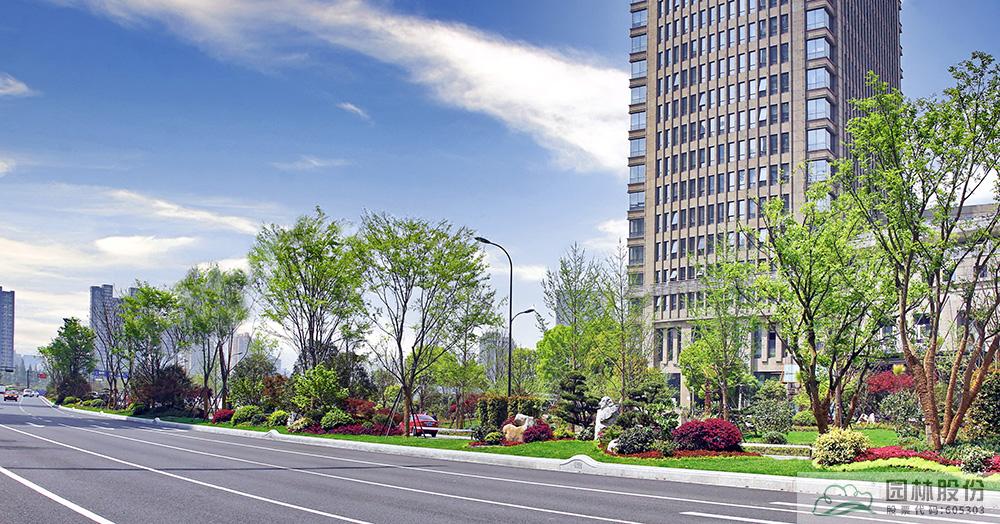 亚洲精品白浆高清久久久久久