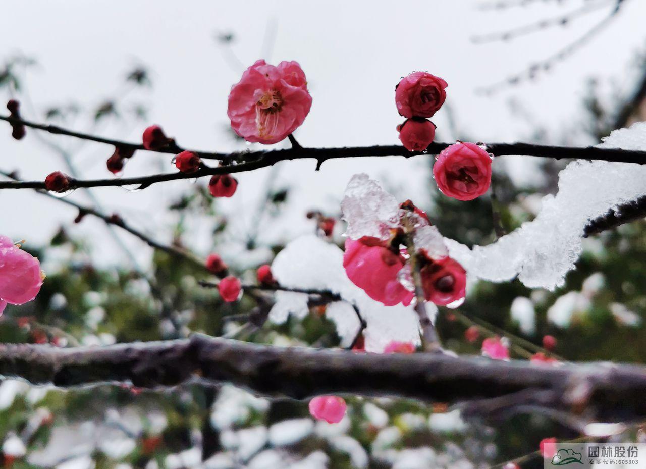 亚洲精品白浆高清久久久久久