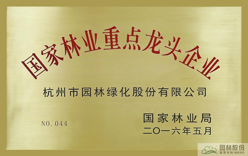 亚洲精品白浆高清久久久久久