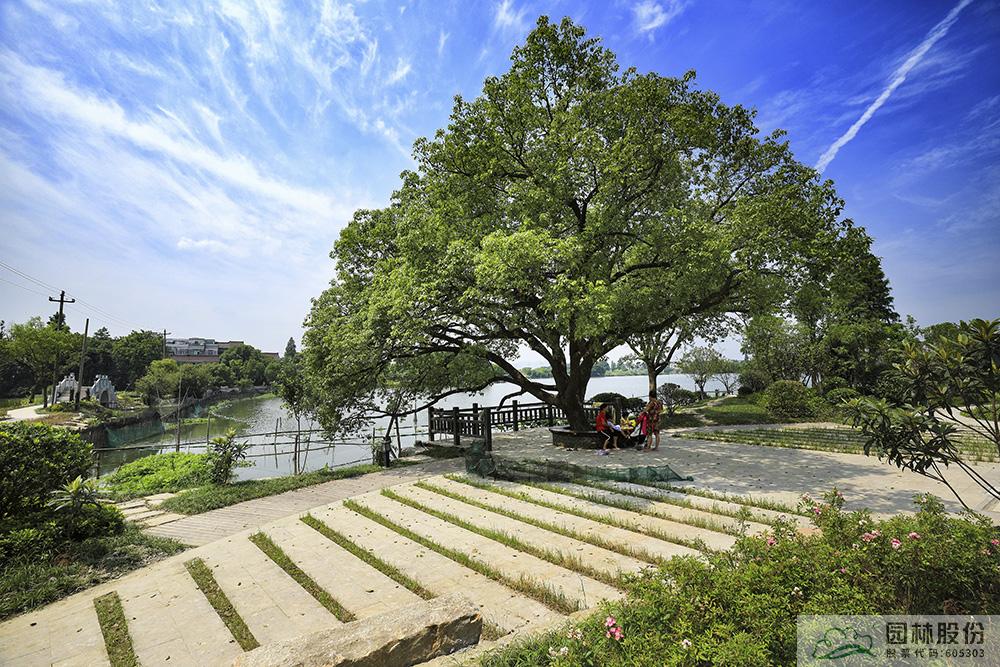 亚洲精品白浆高清久久久久久