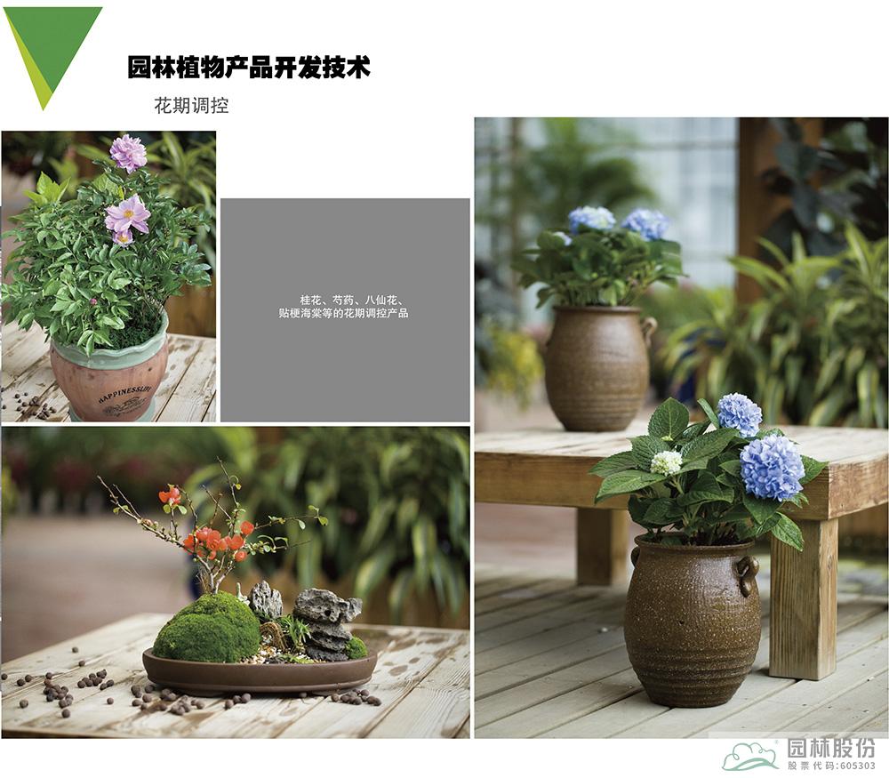 亚洲精品白浆高清久久久久久