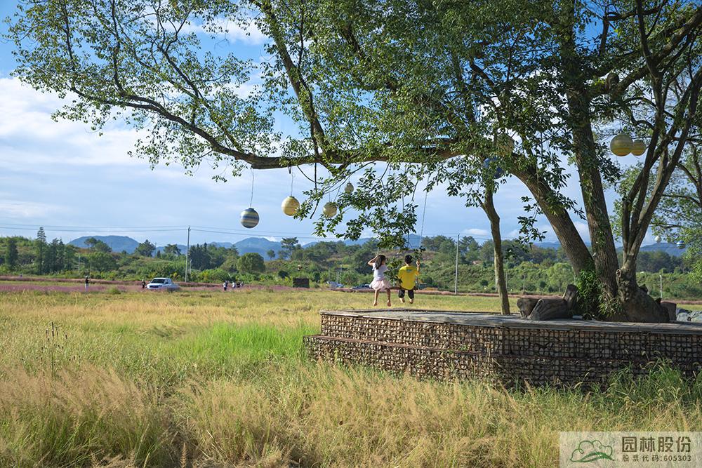 亚洲精品白浆高清久久久久久