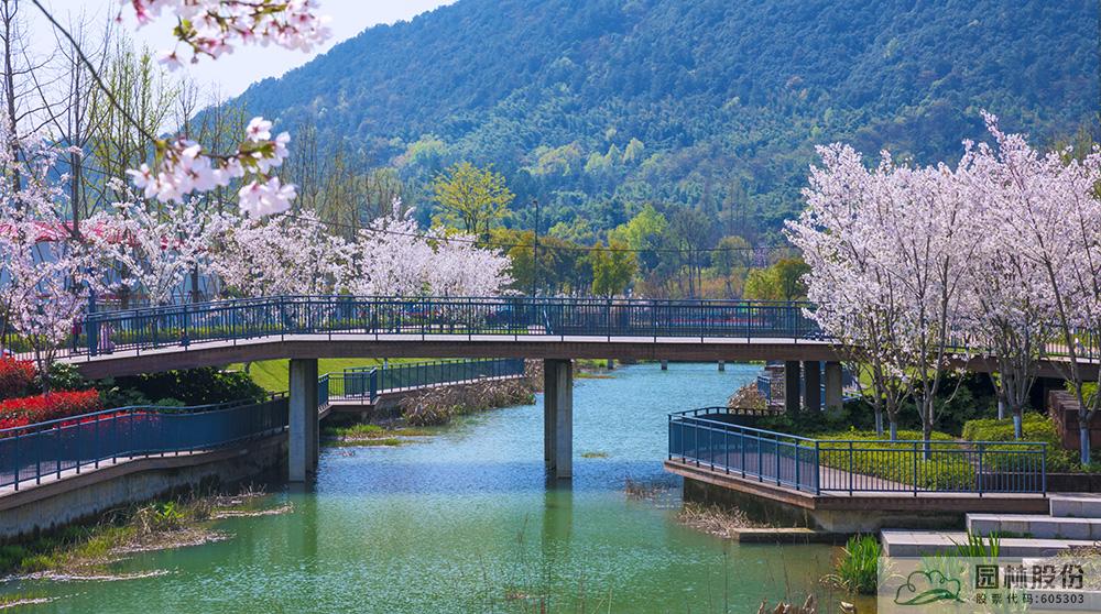 亚洲精品白浆高清久久久久久