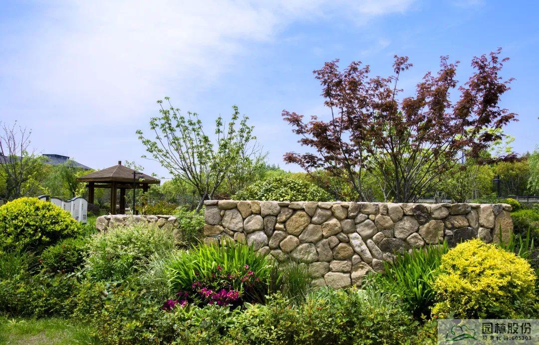 亚洲精品白浆高清久久久久久