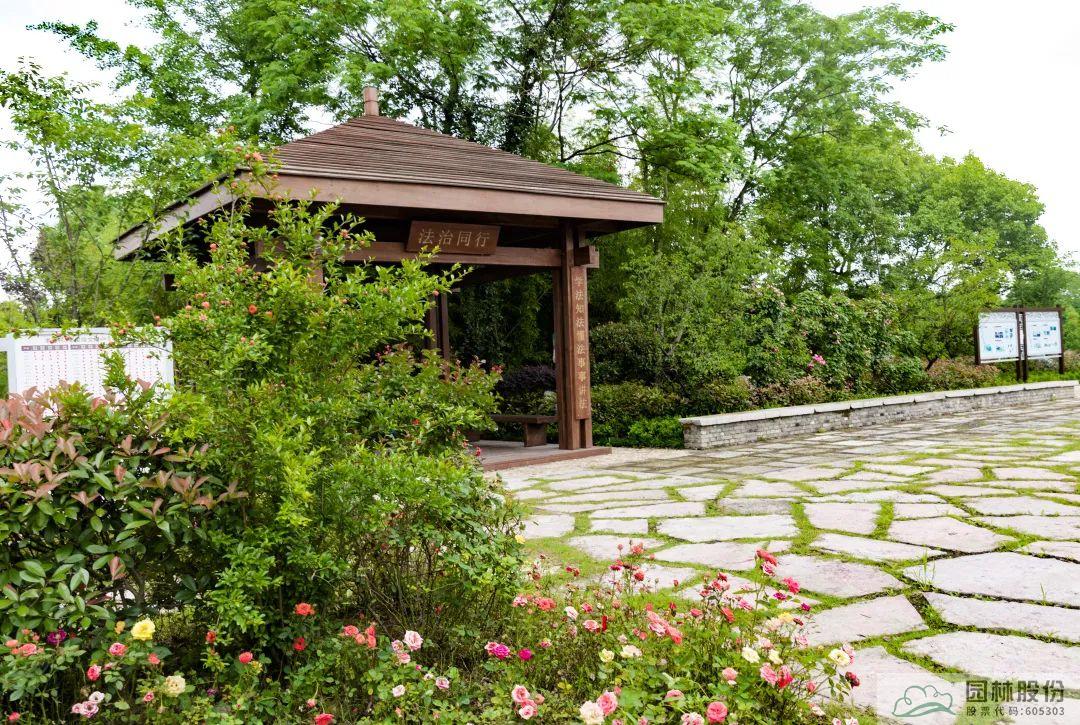 亚洲精品白浆高清久久久久久