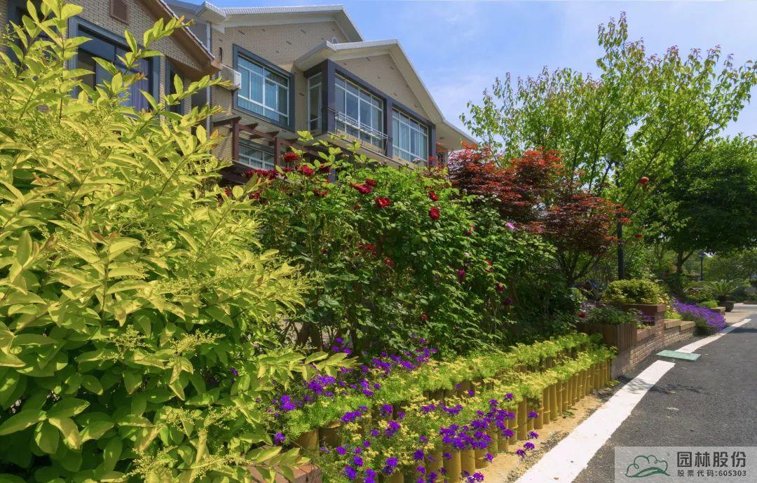 亚洲精品白浆高清久久久久久