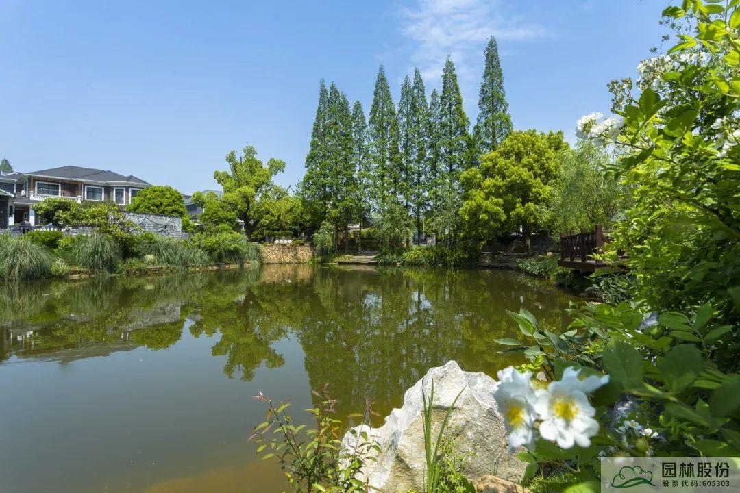 亚洲精品白浆高清久久久久久