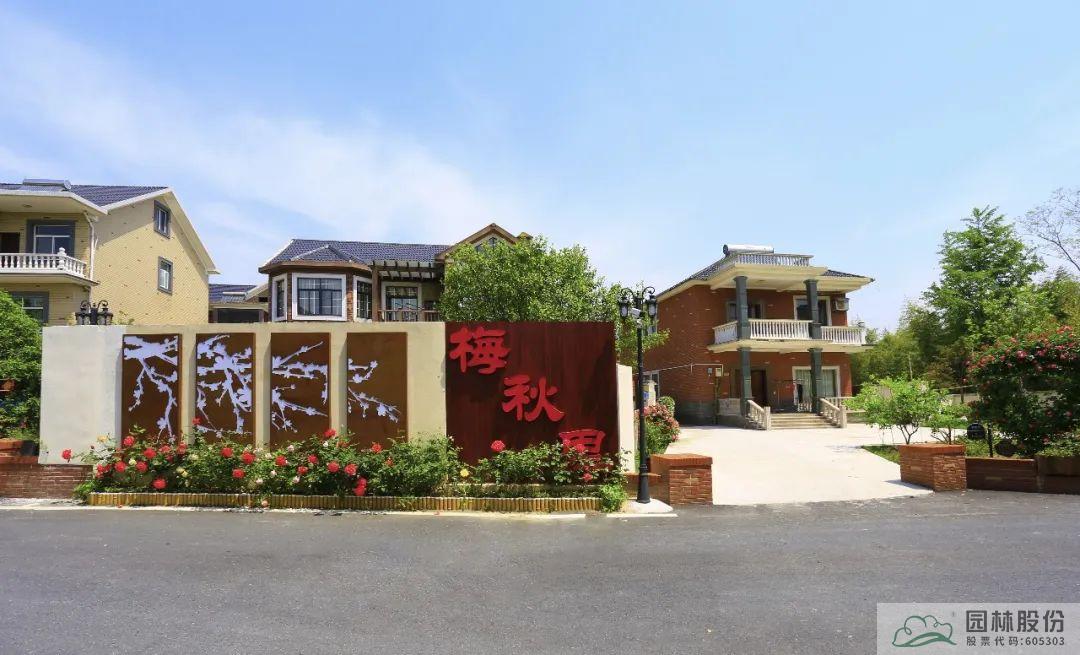 亚洲精品白浆高清久久久久久