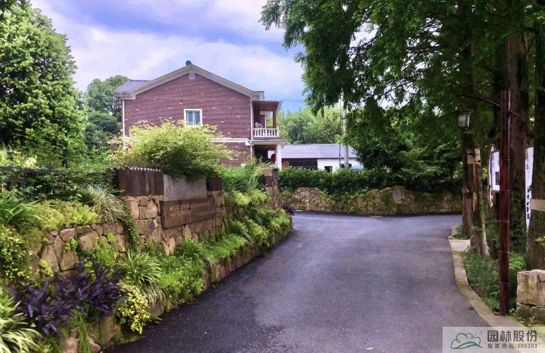 亚洲精品白浆高清久久久久久