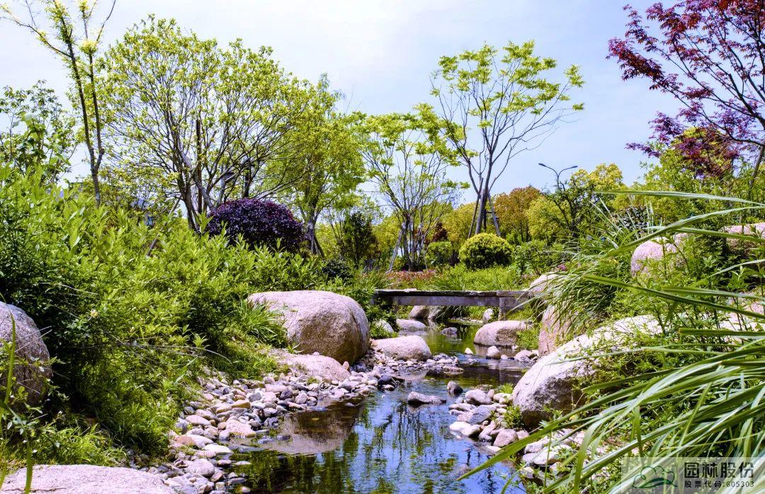 亚洲精品白浆高清久久久久久