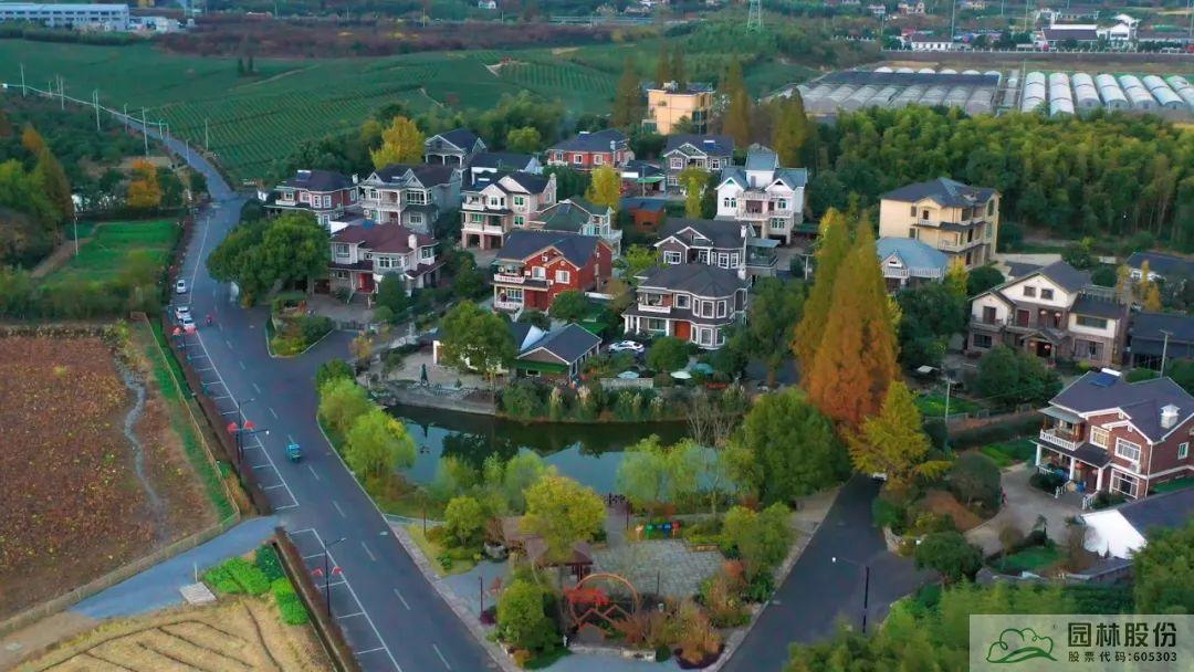 亚洲精品白浆高清久久久久久